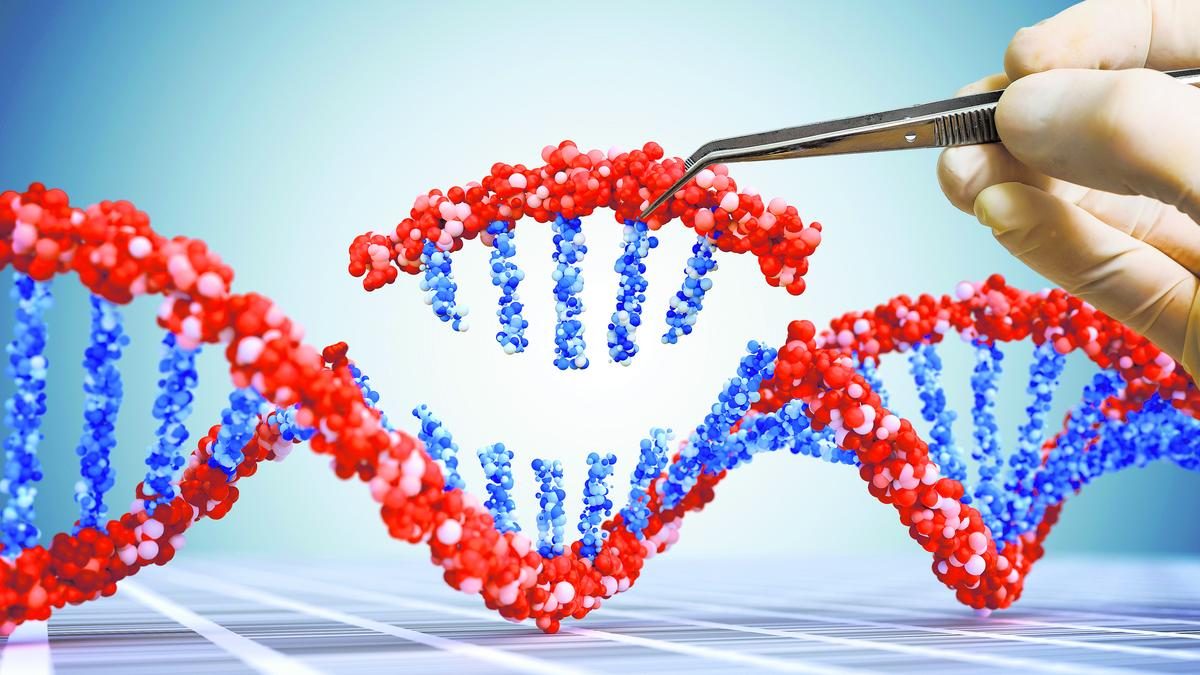 The Role of Biotechnology in India's Healthcare Sector